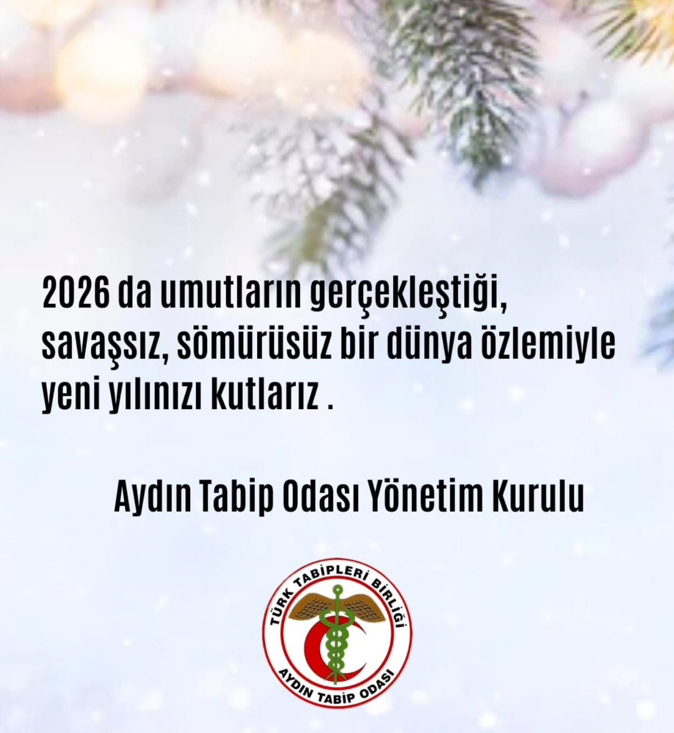 Yeniyil 2025